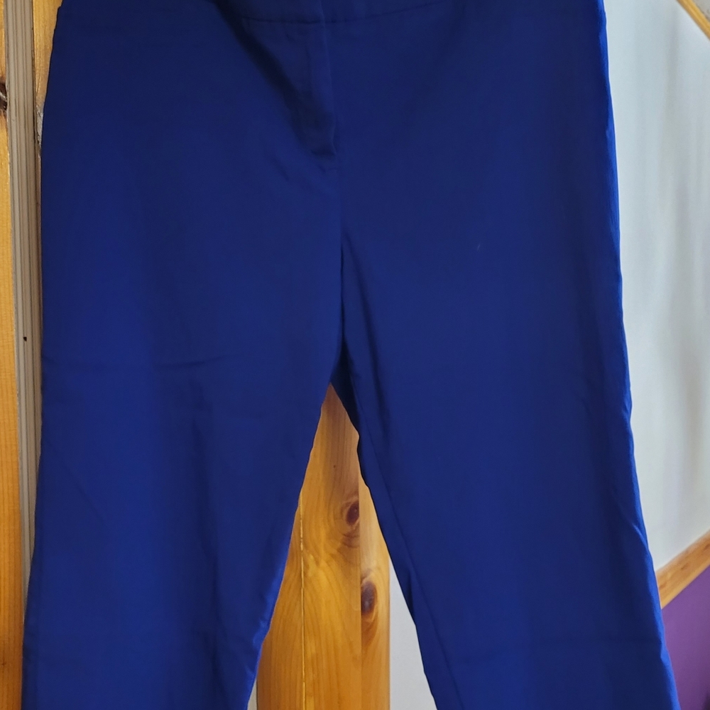 Feelib Capri Pants.  Size 18.